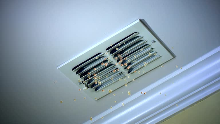 Best Air Duct Inspection  in Pocono Springs, PA